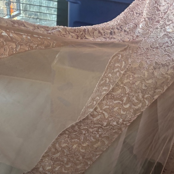 Blush Lace V-Neck Evening Dress - Elegant Women's Gown - Picture 3 of 6